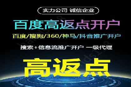 SEM托管成功案例：揭秘高效广告投放策略